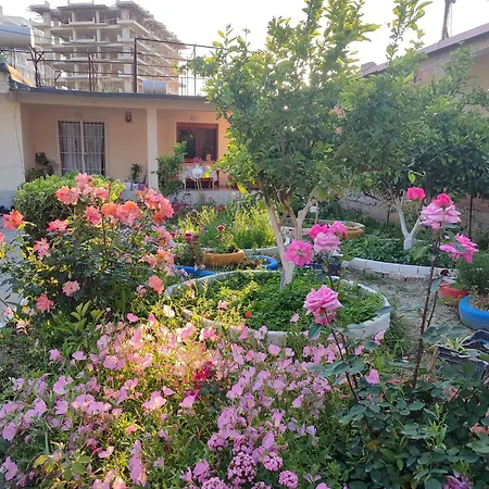 House Vlorë